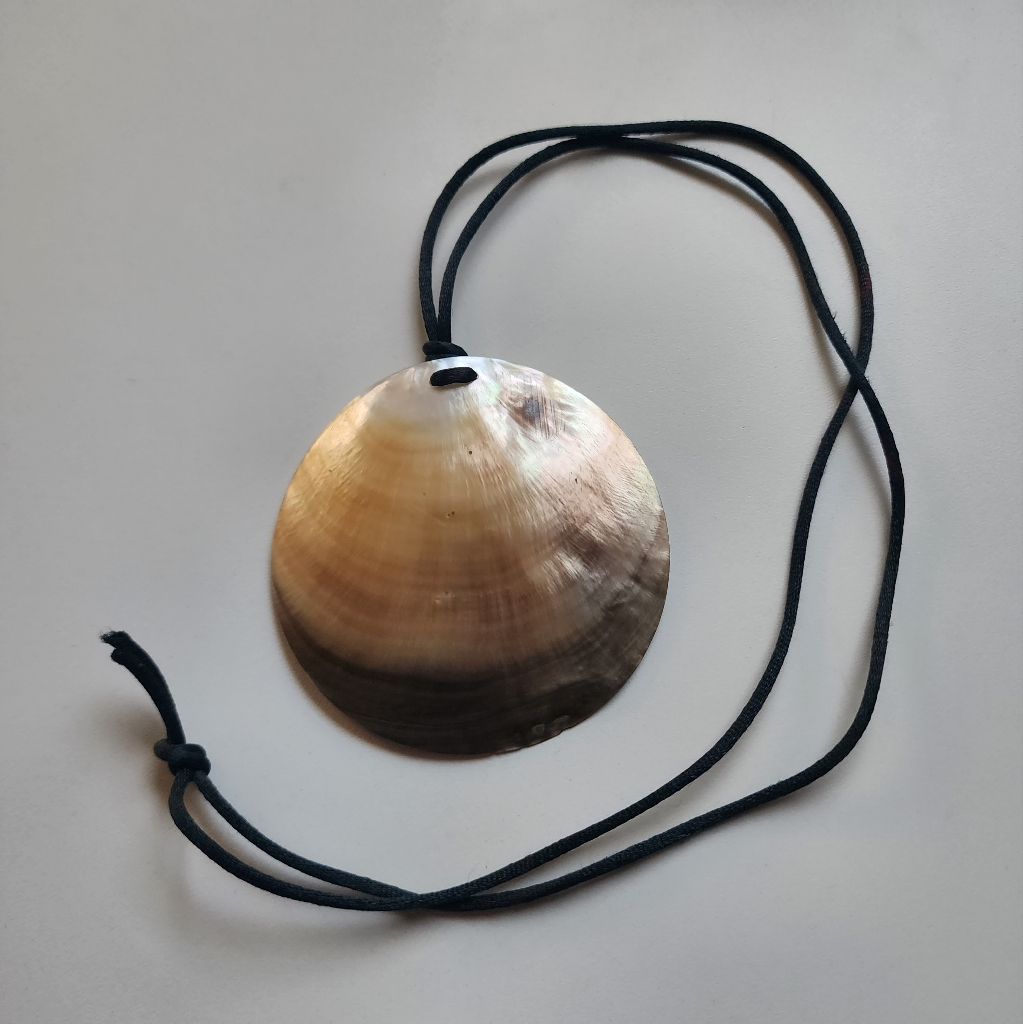 Large Shell Necklace